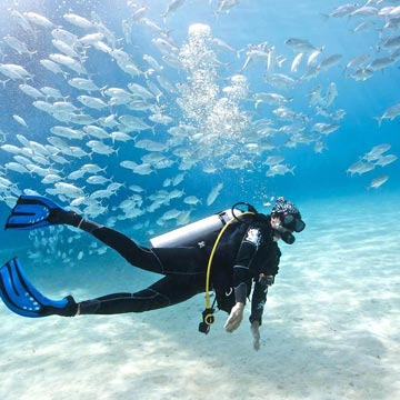 Tur Firması - SCUBA DIVING